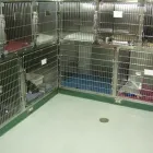 Entreprises 7 image CLINIQUE MÉDECIN VÉTÉRINAIRE DE ST-LOUIS Veterinarians dans Montréal QC