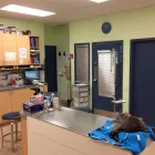 Entreprises 8 image CLINIQUE VÉTÉRINAIRE ST JEAN BAPTISTE Veterinarians dans Pointe-aux-trembles QC