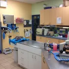 Entreprises 10 image CLINIQUE VÉTÉRINAIRE ST JEAN BAPTISTE Veterinarians dans Pointe-aux-trembles QC