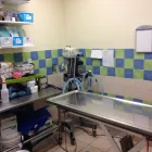 Entreprises 13 image CLINIQUE VÉTÉRINAIRE ST JEAN BAPTISTE Veterinarians dans Pointe-aux-trembles QC