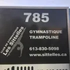 Business 11 image CLUB DE GYMNASTIQUE LES SITTELLES Sports & Recreation in Orléans ON