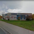 Business 1 image COBRA CAR PROTECTION CENTRE Window Tinting in Mississauga ON