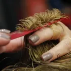 Business 8 image COIFFURE DES PROMENADES ELLE ET LUI Hair Salons in Gatineau QC
