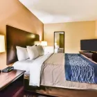 Entreprises 6 image COMFORT INN & SUITES AMBASSADOR BRIDGE travel & tourism dans Windsor ON