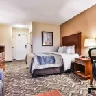 Entreprises 14 image COMFORT INN & SUITES AMBASSADOR BRIDGE travel & tourism dans Windsor ON