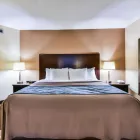 Entreprises 27 image COMFORT INN & SUITES AMBASSADOR BRIDGE travel & tourism dans Windsor ON