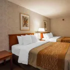Business 9 image COMFORT INN travel & tourism in Lethbridge AB