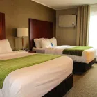 Entreprises 17 image COMFORT INN travel & tourism dans Dartmouth NS