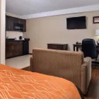 Entreprises 5 image COMFORT INN travel & tourism dans Brampton ON