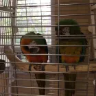 Entreprises 4 image CREDITVIEW ANIMAL & BIRD HOSPITAL Veterinarians dans Mississauga ON
