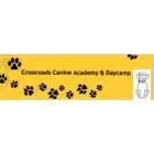 Entreprises 1 image CROSSROADS CANINE ACADEMY & DAYCAMP Pet Training dans Tecumseh ON