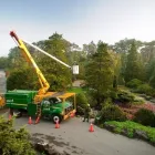 Entreprises 1 image DAVEY TREE EXPERT CO OF CANADA LIMITED Tree Work & Forestry Services dans Coquitlam BC