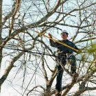 Entreprises 8 image DAVEY TREE EXPERT CO OF CANADA LIMITED Tree Work & Forestry Services dans Coquitlam BC