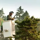 Entreprises 2 image DAVEY TREE EXPERT CO OF CANADA LIMITED Tree Work & Forestry Services dans Coquitlam BC