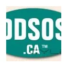Business 1 image DD'S ON SITE!™ travel & tourism in Edmonton AB