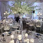 Business 4 image DÉCOR AND MORE Wedding Planners in Laval QC