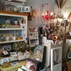 Business 4 image DECORIUM C SHELLS Shopping in Windsor ON