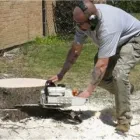 Entreprises 4 image DEREK'S TREE SERVICE INC Tree Work & Forestry Services dans Mississauga ON