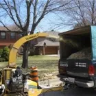 Entreprises 8 image DEREK'S TREE SERVICE INC Tree Work & Forestry Services dans Mississauga ON