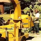 Entreprises 2 image DEREK'S TREE SERVICE INC Tree Work & Forestry Services dans Mississauga ON