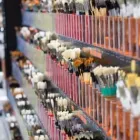 Entreprises 5 image DESERRES Shopping dans Boucherville QC