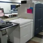 Business 1 image DOMINION BLUE REPROGRAPHICS Signs, Banners & Display Systems in Vancouver BC