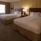 Entreprises 28 image DOUBLETREE BY HILTON HOTEL LONDON ONTARIO travel & tourism dans London ON