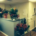 Business 4 image DR FRANK FOTIS KARANTONIS MD Health & Medicine in Toronto ON