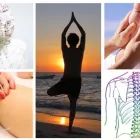 Business 1 image DR. VYVYEN LE, CHIROPRACTOR & ACUPUNCTURIST Massage Therapists in Toronto ON