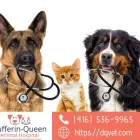 Entreprises 4 image DUFFERIN QUEEN ANIMAL HOSPITAL Veterinarians dans Toronto ON