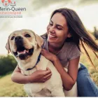 Entreprises 5 image DUFFERIN QUEEN ANIMAL HOSPITAL Veterinarians dans Toronto ON