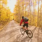 Entreprises 2 image DUNBAR PHYSIO Physiotherapists dans Vancouver BC