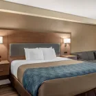 Business 13 image ECONO LODGE INN & SUITES DOWNTOWN travel & tourism in Toronto ON