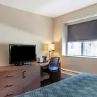 Business 14 image ECONO LODGE INN & SUITES DOWNTOWN travel & tourism in Toronto ON