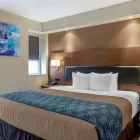 Business 21 image ECONO LODGE INN & SUITES DOWNTOWN travel & tourism in Toronto ON