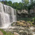Business 37 image ED DUNN JR Real Estate Agents in Hamilton ON