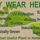 Entreprises 9 image EFFORT’S ECO-ESSENTIALS Shopping dans Toronto ON