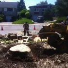 Entreprises 8 image ÉLAGAGE ARBORICUREUIL INC | PIERREFONDS Tree Work & Forestry Services dans Pierrefonds QC