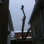 Entreprises 12 image ÉLAGAGE ARBORICUREUIL INC | PIERREFONDS Tree Work & Forestry Services dans Pierrefonds QC