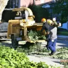 Entreprises 15 image ÉLAGAGE ARBORICUREUIL INC | PIERREFONDS Tree Work & Forestry Services dans Pierrefonds QC