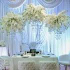 Entreprises 3 image ELEGANCE BY DESIGN INC Wedding Planners dans Windsor ON