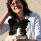 Business 1 image ELLERSLIE PET HOSPITAL LTD Veterinarians in Edmonton AB