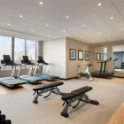 Business 9 image EMBASSY SUITES BY HILTON TORONTO AIRPORT travel & tourism in Toronto ON
