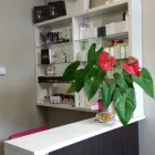 Business 1 image ESTHÉTIQUE ANDRÉE-ANNE Beauty Salons & Consultants in Lasalle QC
