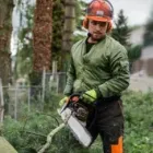 Business 1 image ETOBICOKE TREE SERVICE in Etobicoke ON