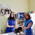 Business 2 image EXPLOITS VALLEY ANIMAL HOSPITAL Veterinarians in Grand Falls-windsor NL