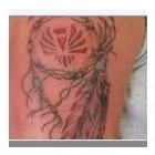 Entreprises 1 image EXQUIZEET TATTOO & PIERCING STUDIO Tattoos & Body Piercing dans Brampton ON