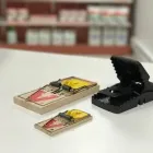 Entreprises 6 image EXTERMINATEURS ASSOCIÉS INC. Pest & Vermin Control dans Montréal QC