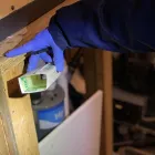 Entreprises 8 image EXTERMINATEURS ASSOCIÉS INC. Pest & Vermin Control dans Montréal QC