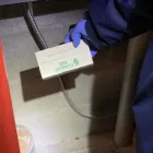 Entreprises 13 image EXTERMINATEURS ASSOCIÉS INC. Pest & Vermin Control dans Montréal QC